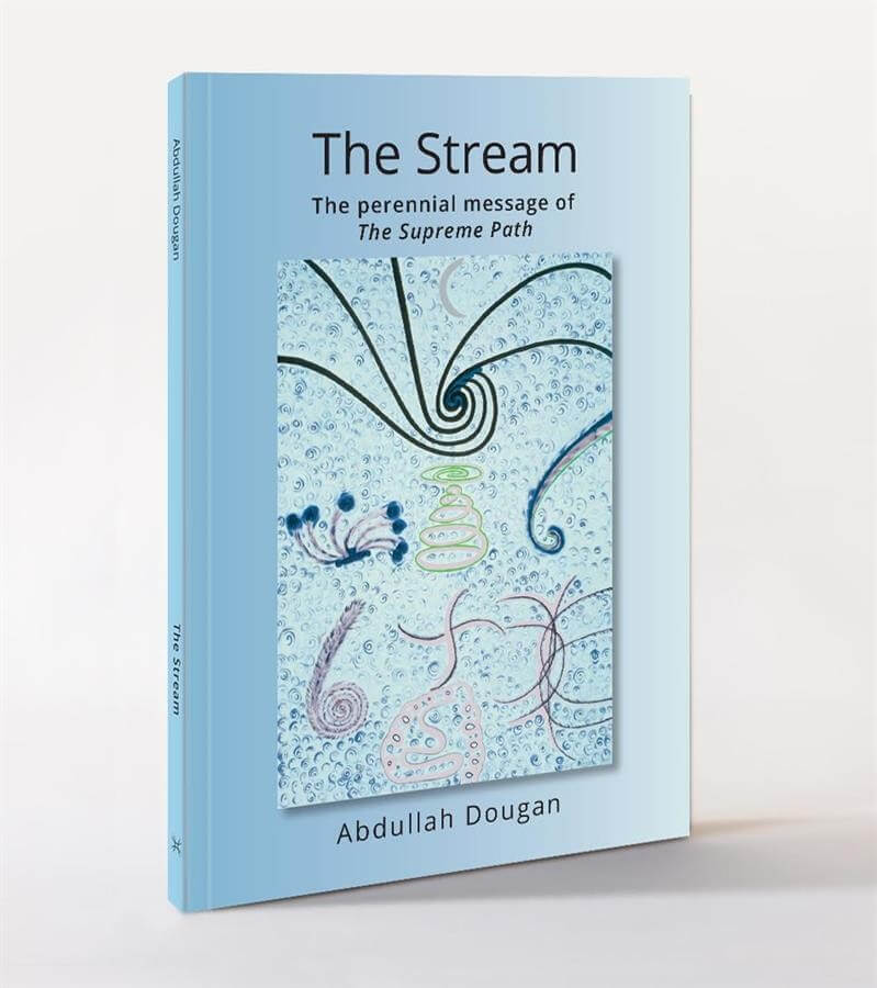 The Stream - ebook
